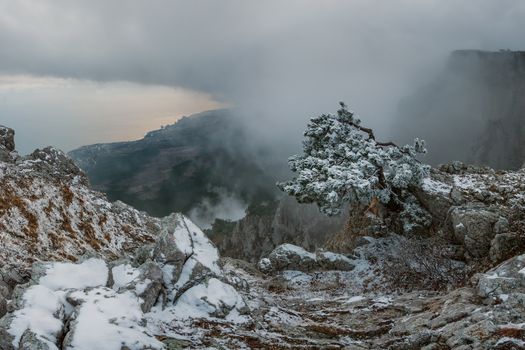 Surrealistic winter landscape with snowfall