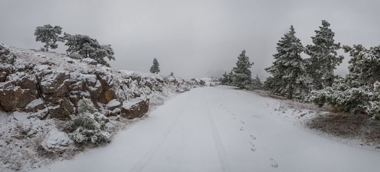 Surrealistic winter landscape with snowfall