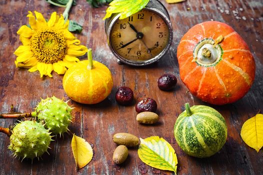 Autumn decorative pumpkin,chestnuts and retro alarm clock