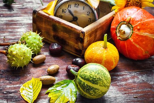 Autumn decorative pumpkin,chestnuts and retro alarm clock