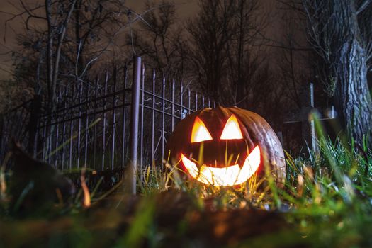Glowing halloween pumpkin with candle at real cemetery