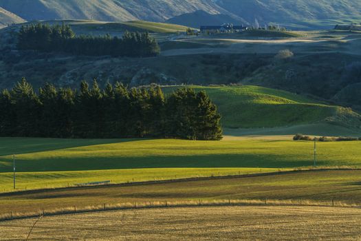 Green valley with a house in New Zealand