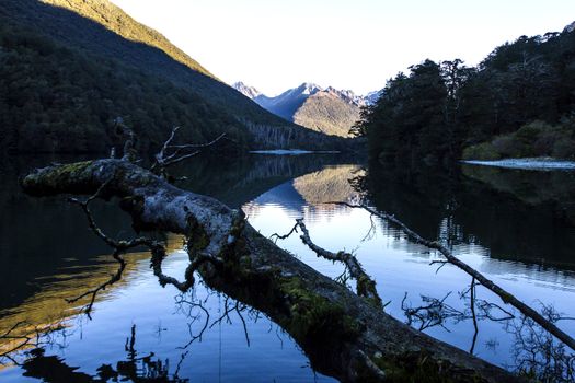 Landscape with a lake in mountains and a branch on foreground, New Zealand