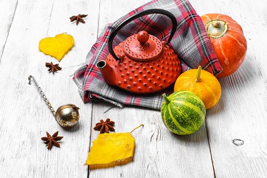 Stylish kettle for tea and harvest autumn pumpkin