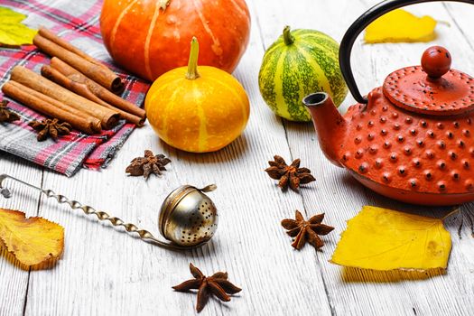 Stylish kettle for tea and harvest autumn pumpkin