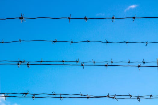 Barbed wire obstructs blue sky