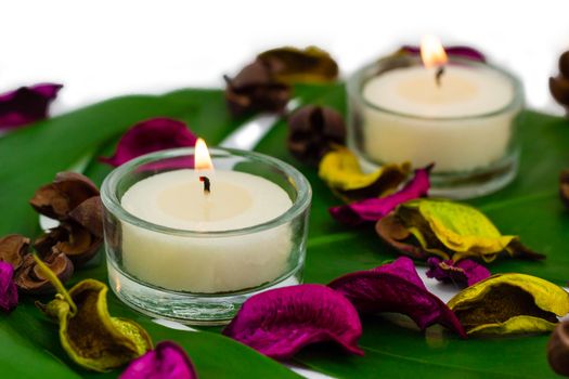 Fresh colorful composition of two burning candles, fragrant potpourri on monstera leaf