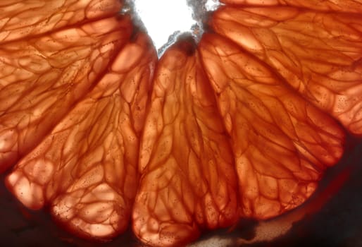 close up of a grapefruit slice in water