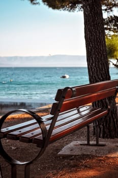 Coastal bench with sea view