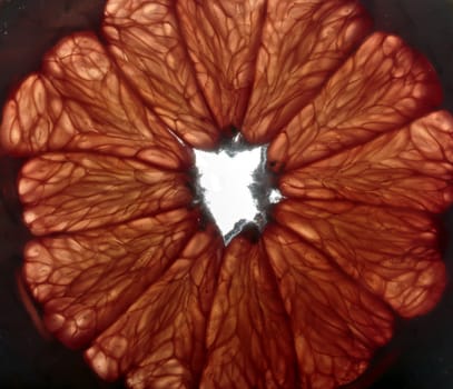 close up of a grapefruit slice in water