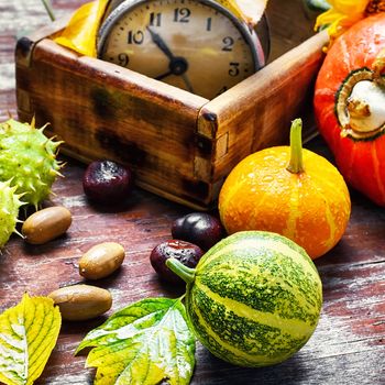 Autumn decorative pumpkin,chestnuts and retro clock