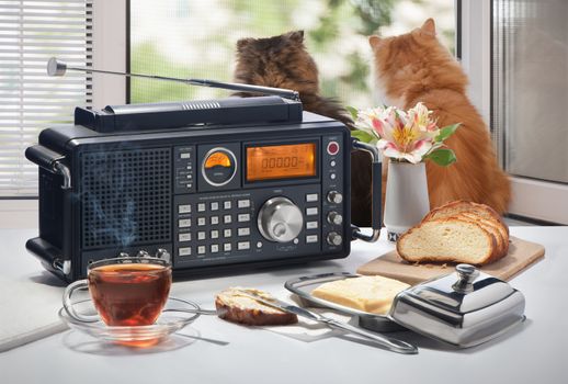 Hot tea, bread and oil on a table with the radio receiver against an open window with cats