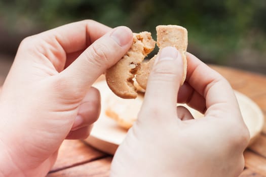 Woman's hand holding  cashew cookies, stock photo