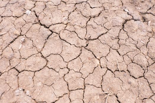 The Dry cracked earth texture