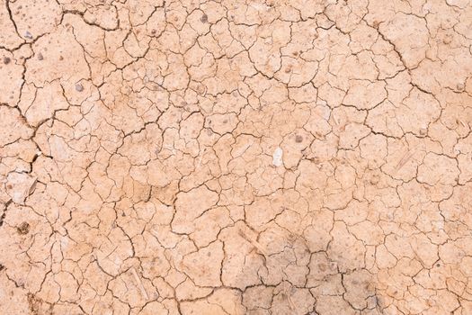 The Dry cracked earth texture