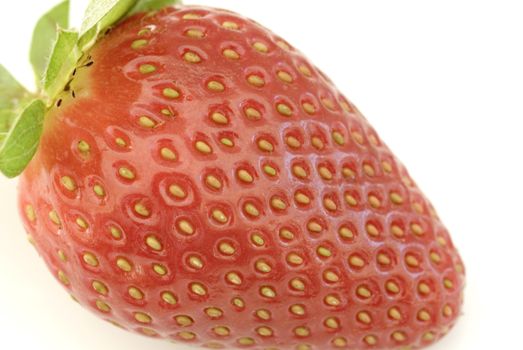 Luscious whole fresh ripe red strawberry macro over a white background showing the achenes on the skin