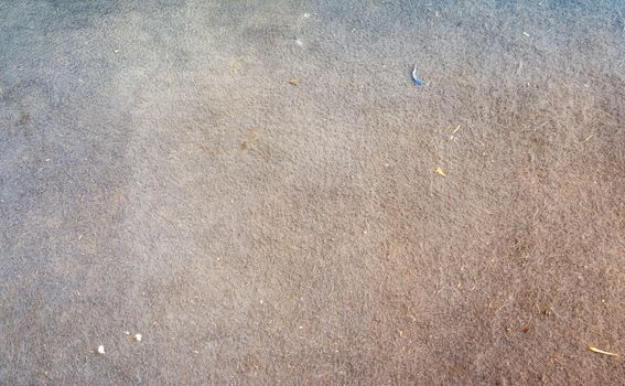 Closeup of grey carpet texture.