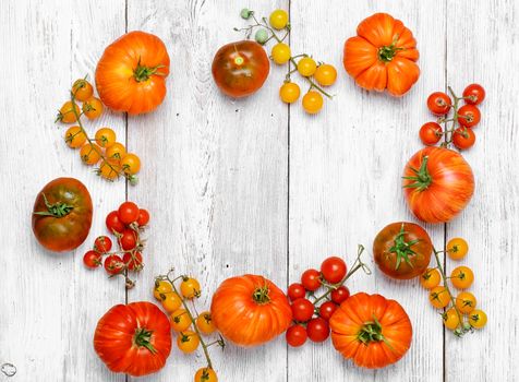 Tomatoes of different varieties plucked from the garden