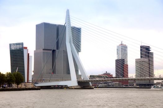 ROTTERDAM, THE NETHERLANDS - 18 AUGUST: Rotterdam is a city modern architecture, view on Erasmus Bridge and skyline of Rotterdam, river Maas in Rotterdam, Netherlands on August 18,2015.