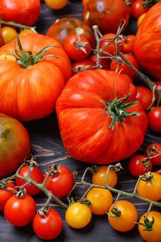 Tomatoes of different varieties plucked from the garden