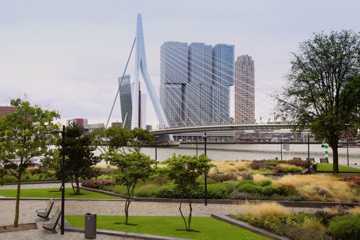 ROTTERDAM, THE NETHERLANDS - 18 AUGUST: Rotterdam is a city modern architecture, view on Erasmus Bridge and skyline of Rotterdam, river Maas in Rotterdam, Netherlands on August 18,2015.