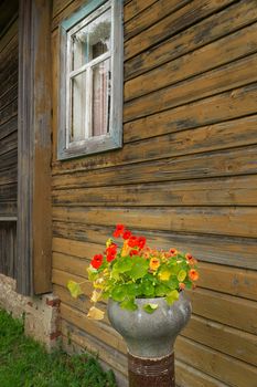 Country house, walls are covered with wood siding, Windows and flowers in pots