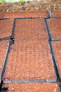 Checkered soil prepare for cultivation, stock photo