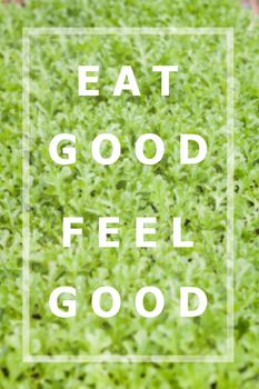 Eat good feel good inspirational quote on vegetable background