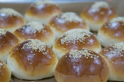 Delicious bread with sesame on stainless tray after baking in oven.