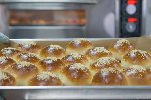 Dessert bread on top with sesame on stainless tray after baking in oven.