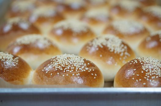 Round loaf of bread with sesame seeds on tray in kitchen.