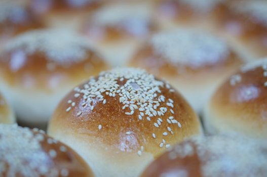 Round loaf of bread with sesame seeds on aluminium tray in kitchen.