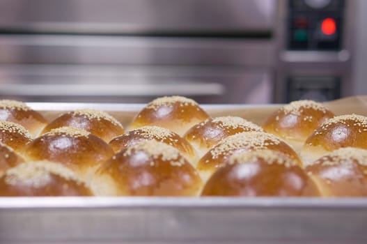 Round loaf of bread on stainless tray after baking in oven.