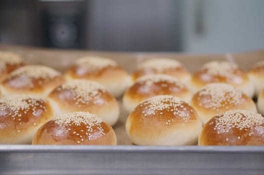 Round of Sandwich bun with sesame seeds on aluminium tray.