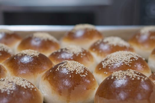 Round sandwich bun with sesame seeds on aluminium tray in kitchen.