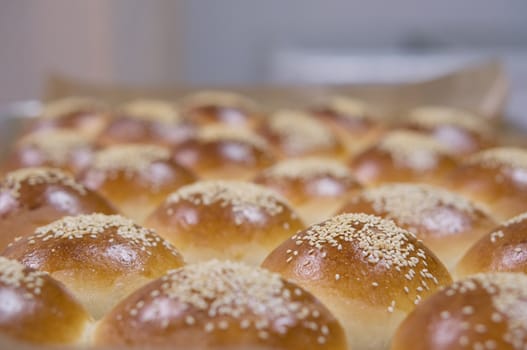 Round sandwich bun with sesame seeds on tray in kitchen.