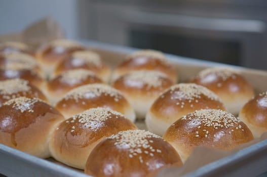 Sandwich bun with sesame seeds on aluminium tray in kitchen.