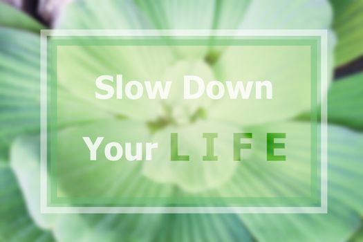 Slow down your life inspirational quote on blurred background