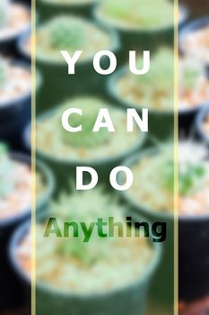 You can do anything inspirational quote on blurred background