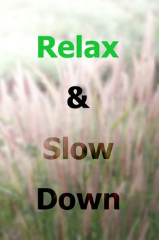 Inspiraional quote of relax and slow down on field of grass