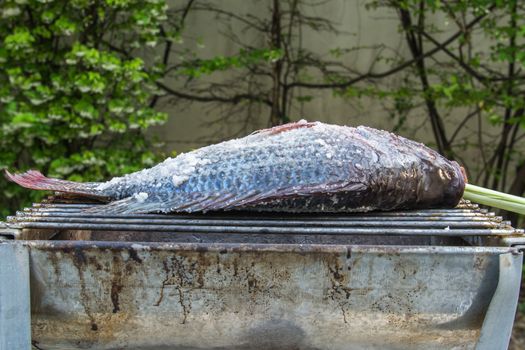 grilled fish on the grill closeup.