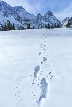 Snowy landscape in the Austrian Alps mountains with details of footprints on the blanket of snow.