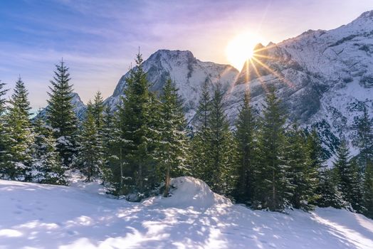 Serene winter landscape with a bright sun shining over the peaks of the Austrian Alps and its forever green fir forests.