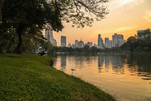 City at night view of Bangkok from Lumpini Park, Thailand