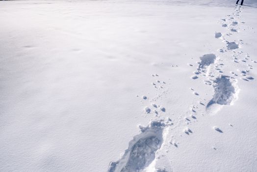 An image with a trail of footprints in a thick layer of snow. Picture captured in the mountains from the town Ehrwald, Austria