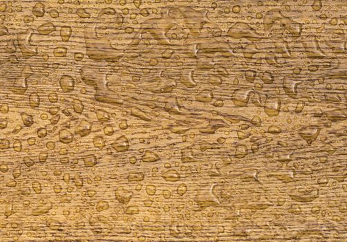 Great wooden background with a section from an oak plank with water drops on it. The wood, which is treated with a special oil, is waterproof.