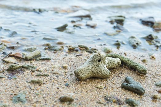 Coral Rubble formed from old dead corals that is washed up onto the beach.