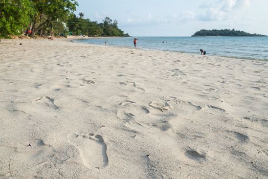 footprints on the beach.