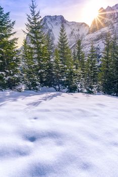 Snowy image taken in Ehrwald city, in the Austrian Alps mountains, on a sunny day of winter. An ideal winter scene.