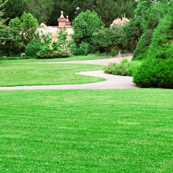 summer park with beautiful green lawns